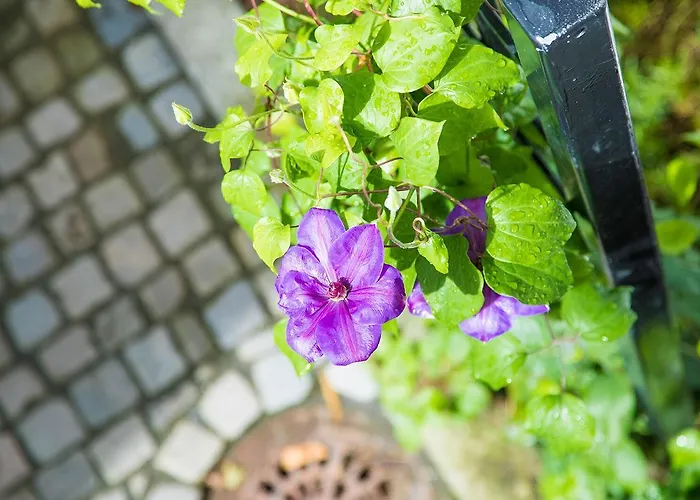 斯塔万格公寓式酒店 4*