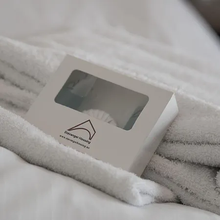 شقة فندقية Housing